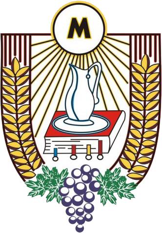 Liturgiczna Służba Ołtarza